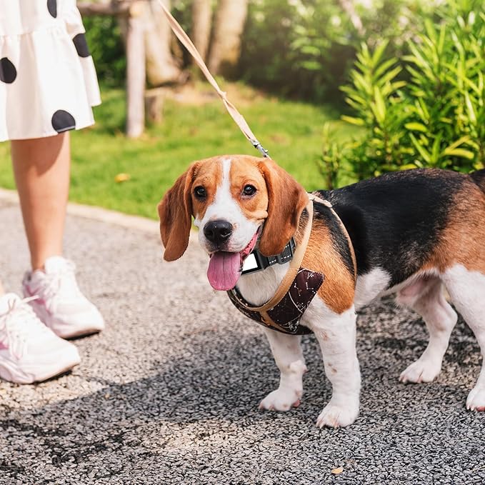 Reflective Collar Replacement Strap (2.5 cm