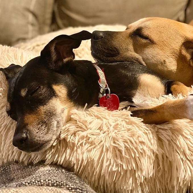 Small Dog Bed Calming Dogs Bed for Small Medium Large Dogs Anti-Anxiety Puppy Bed Machine Washable Warming Cozy Soft Pet Round Bed Fits up to 10-100 lbs (Medium (Pack of 1)