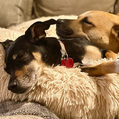 Small Dog Bed Calming Dogs Bed for Small Medium Large Dogs Anti-Anxiety Puppy Bed Machine Washable Warming Cozy Soft Pet Round Bed Fits up to 10-100 lbs (Medium (Pack of 1)