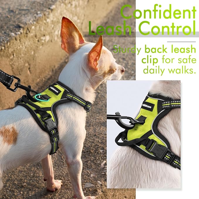 rabbitgoo Dog Harness, No-Pull Pet Harness with 2 Leash Clips, Adjustable Soft Padded Dog Vest, Reflective No-Choke Pet Oxford Vest with Easy Control Handle for Small Dogs, Wild Lime, XS