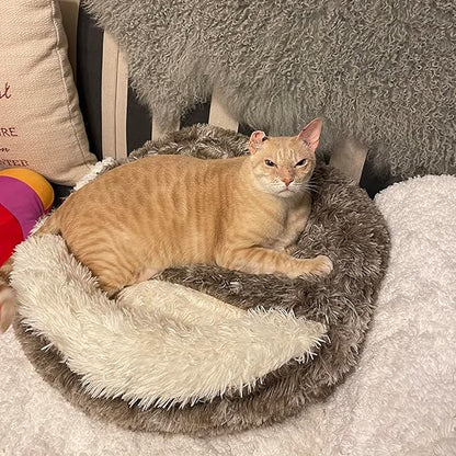 Cozy Dog Bed cat Bed with Cover cave for Small Dogs