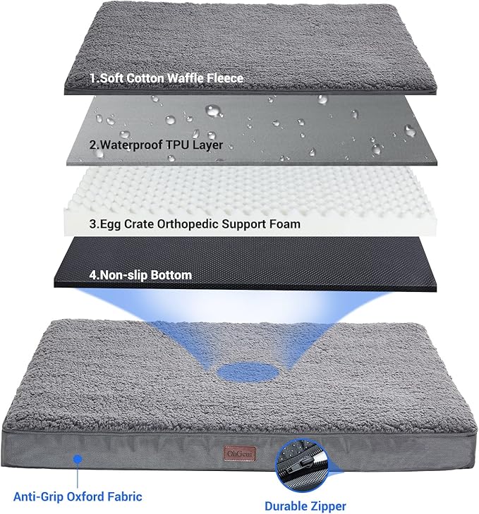 Orthopedic Dog Beds for Large Dogs