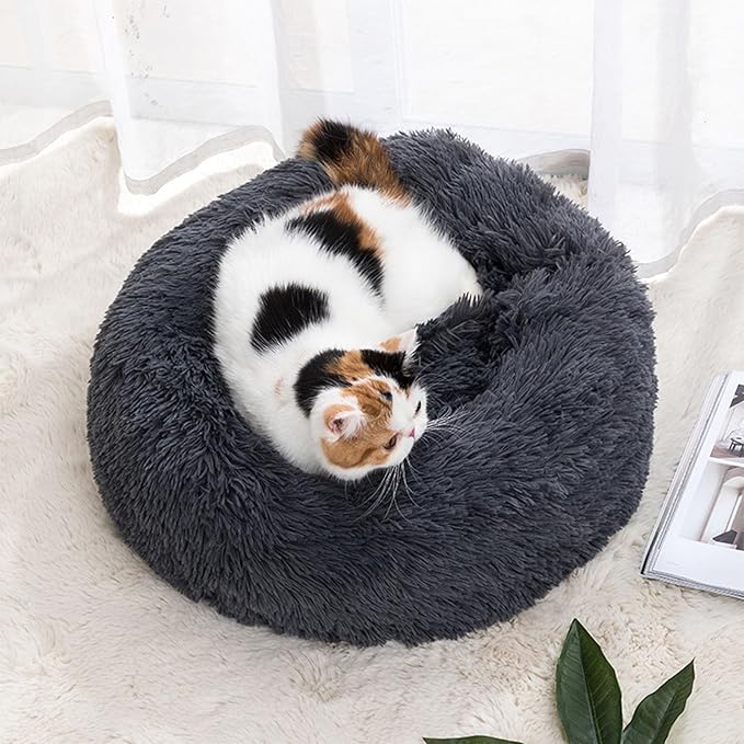 Cat Beds for Indoor Cats 20 inches