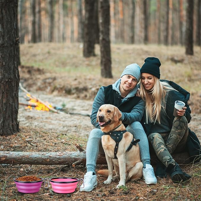 Dog Bowl Pet Collapsible Bowls, 2 Pack Collapsible Dog Water Bowls for Cats Dogs, Portable Pet Feeding Watering Dish for Walking Parking Traveling with 2 Carabiners (Large, Pink+Purple)