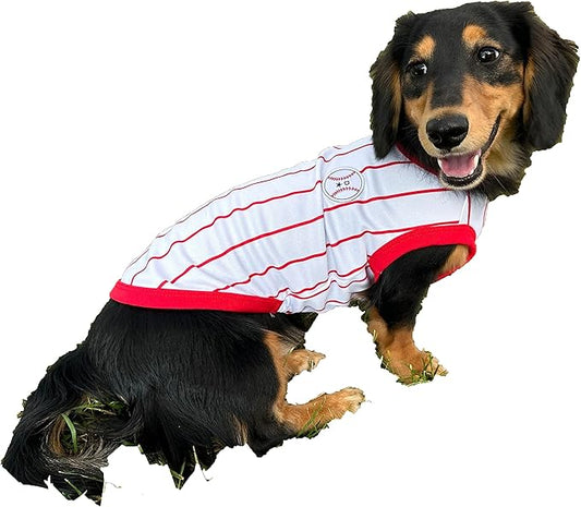 Dachshund Clothes for Dogs Baseball Mini and Adults T Shirts (S