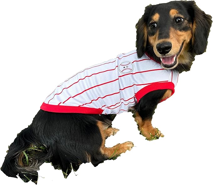 Dachshund Clothes for Dogs Baseball Mini and Adults T Shirts (XL