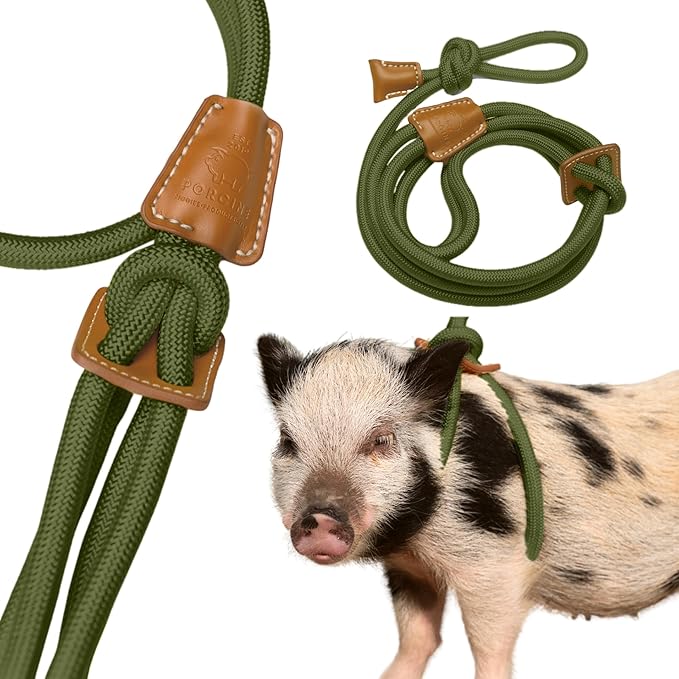 Pig Harness Leash- Fully Adjustable Pig Leash Harness for Small & Medium Pigs- Easy Step-in Harness-Infinity Style Pet Pig Leash-Durable & Gentle Mini Pig Harness-Mini Pig Supplies (Small-Olive Green)