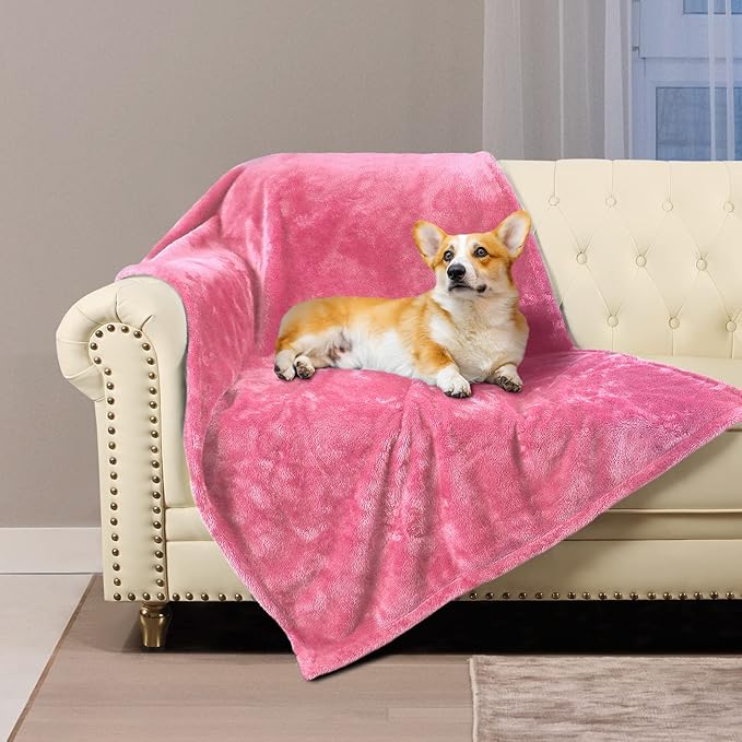 MACEVIA Waterproof Dog Blanket (60x80 Inch,