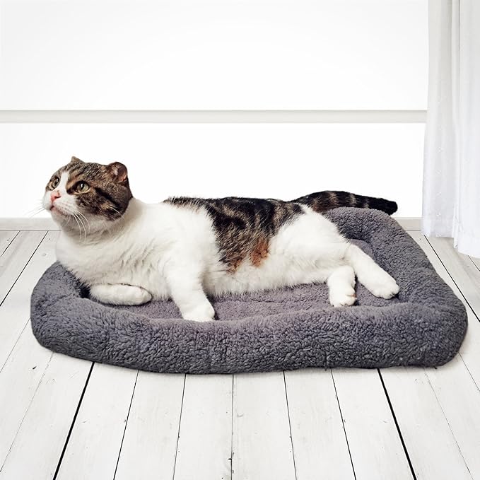 Enjoying Soft Plush Cat Bed Mat 16" x 22" Pet Cushion with Pillow Around for Dogs Cat Curling Sleep Cat Pad for Cat Carrier/Crate Dog Self-Warm Bed
