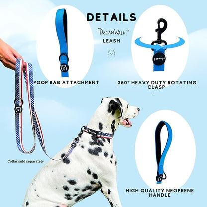 ShawnCo Dream Walk Dog Leash- Premium, Nylon Pet Leash with Soft Neoprene Handle for Small, Medium and Large Dogs (Seafoam, Small)