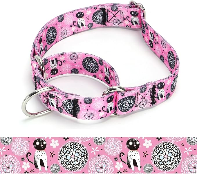 Martingale Dog Collars - Flower Multicolor Cute Patterns, Adjustable Nylon Training Dog Collar Suitable for Boy and Girl Dogs Medium Large Dogs (1, L)
