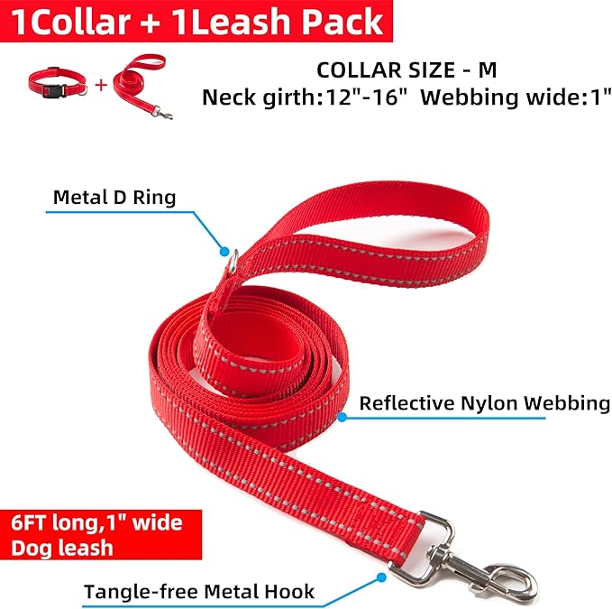 Dog Collar and Leash Set for Small