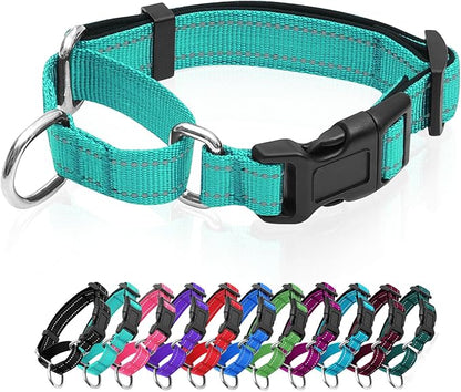 Reflective Martingale Dog Collars. Dog Collar with Quick