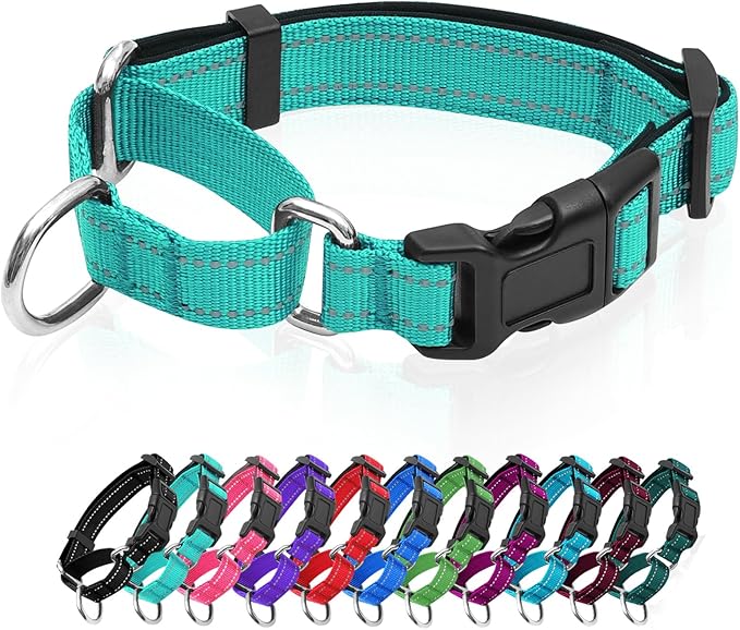 Reflective Martingale Dog Collars. Dog Collar with Quick