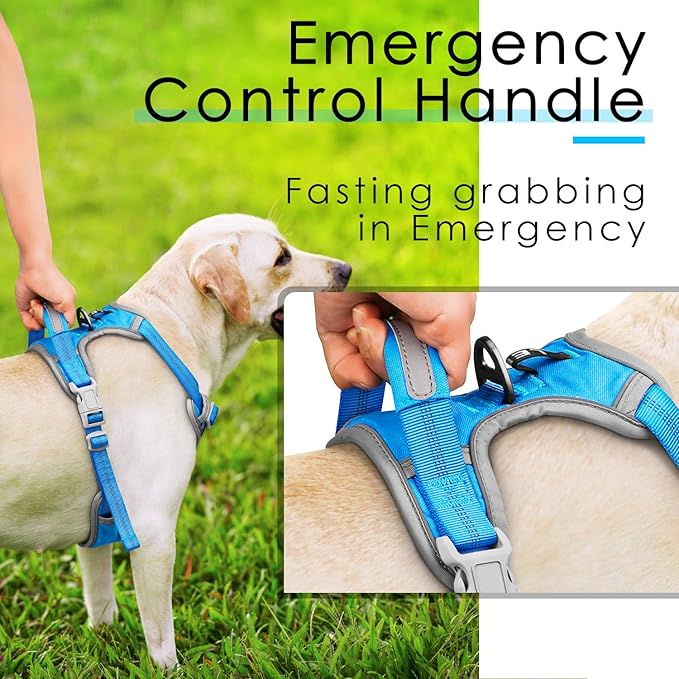 ThinkPet No Pull Harness Breathable Sport Harness with Handle-Dog Harnesses Reflective Adjustable for Medium Large Dogs,Back/Front Clip for Easy Control L Sky Blue