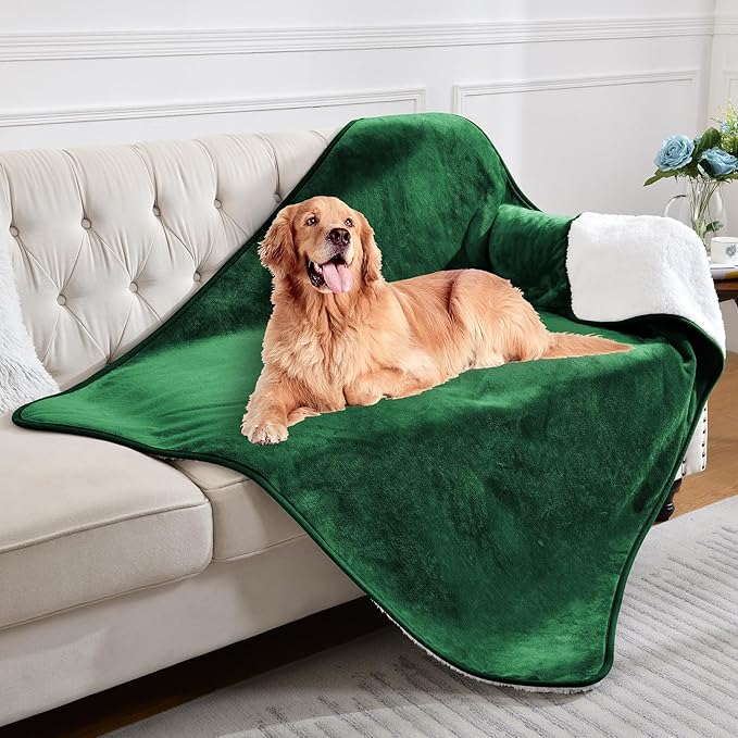 Waterproof Blanket for Bed Couch Sofa, Soft Liquid Pee Proof Pet Blanket for Dog Puppy Cat, Reversible Sherpa Fleece Blanket for Furniture Protector (Green, 50x60 inches)