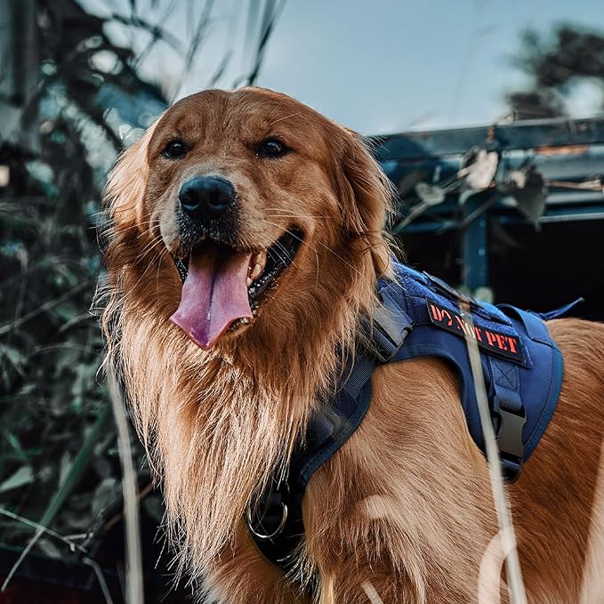 OneTigris Tactical Dog Harness Vest,No-Pull Service Dog Vest with Hook & Loop Panels,Adjustable Dog Vest Harness for Walking Hiking Training(Blue,XL)