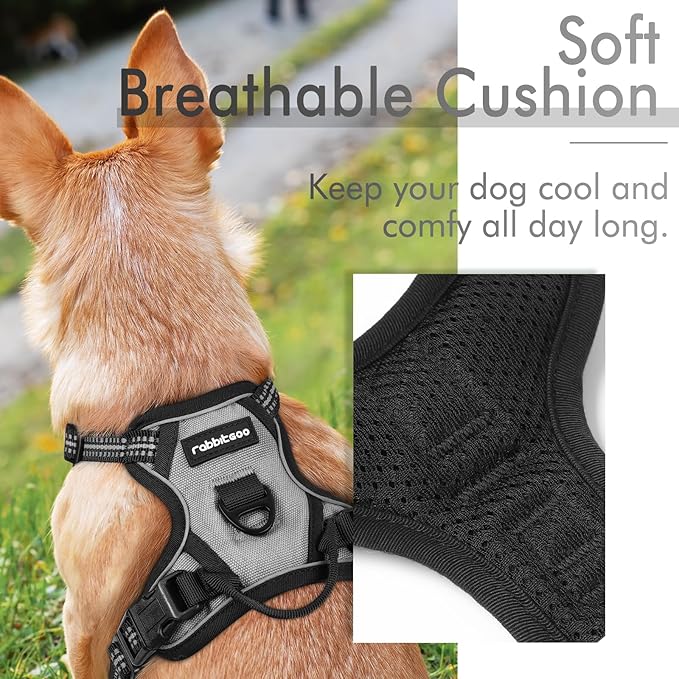 rabbitgoo Dog Harness, No-Pull Pet Harness with 2 Leash Clips, Adjustable Soft Padded Dog Vest, Reflective No-Choke Pet Oxford Vest with Easy Control Handle for Small Dogs, Grey, XS