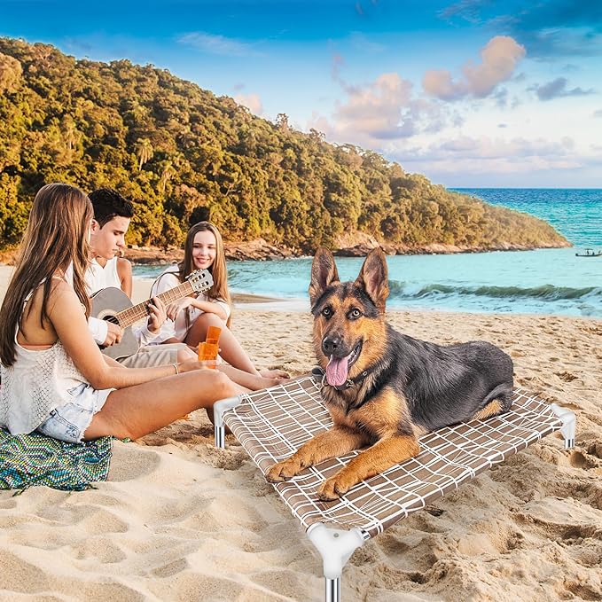 Elevated Dog Bed