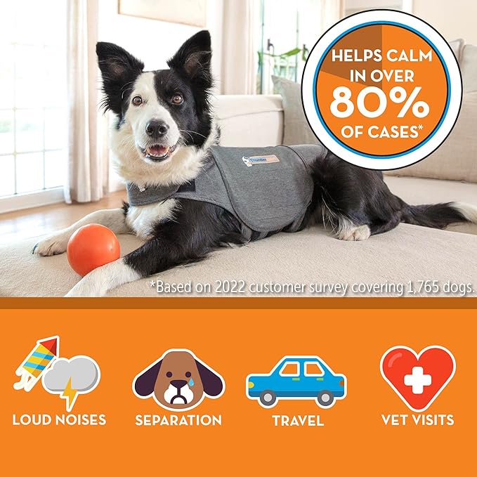 ThunderShirt for Dogs