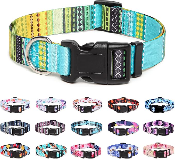 Adjustable Dog Collar with Patterns