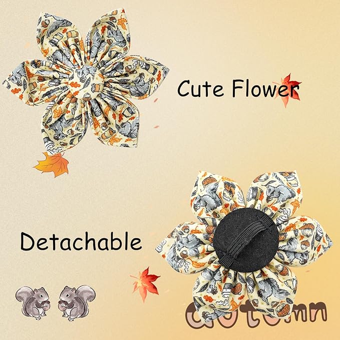 Elegant little tail Fall Dog Collar