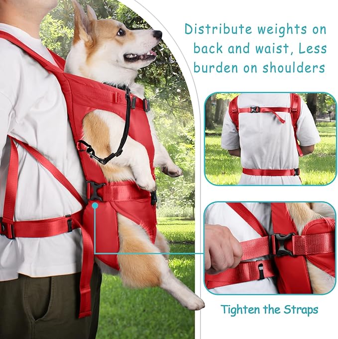 PetBonus Pet Front Dog Carrier Backpacks, Adjustable Dog Backpack Carrier, Legs Out Easy-fit Dog Chest Carrier for Medium Small Dogs, Hands Free Dog Front Carrier for Hiking, Cycling (Red, S)