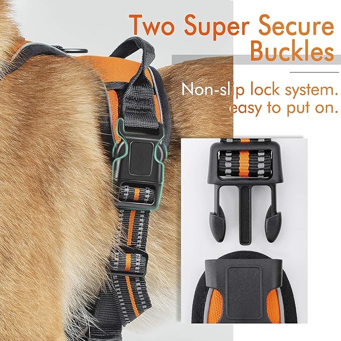 rabbitgoo Dog Harness,No-Pull Pet Harness with 2 Leash Clips,Adjustable Soft Padded Dog Vest,Reflective No-Choke Pet Oxford Vest with Easy Control Handle for Medium Dogs,Orange, M