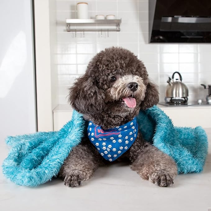 MACEVIA Fluffy Fleece Dog Blankets (24x29 Inch,