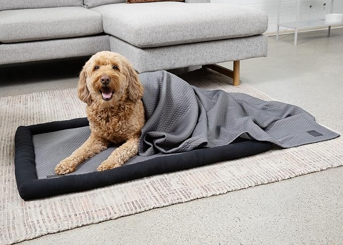 Meadowlark Cooling Blanket for Dogs 60 x 50 in