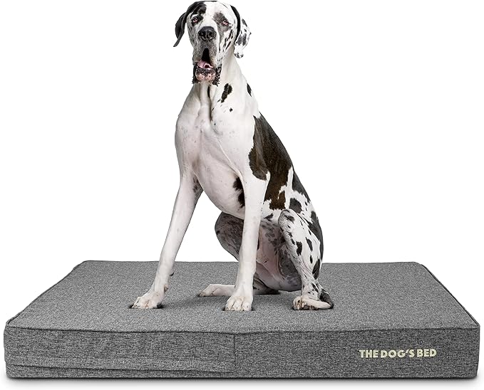 The Dog’s Bed Orthopedic Memory Foam Dog Bed 2XL Grey 54x36, Pain