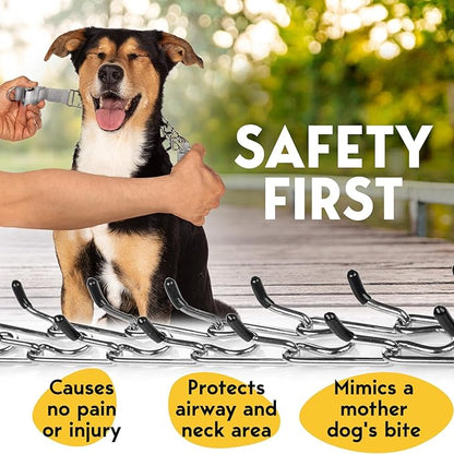 Prong Collar for Dogs