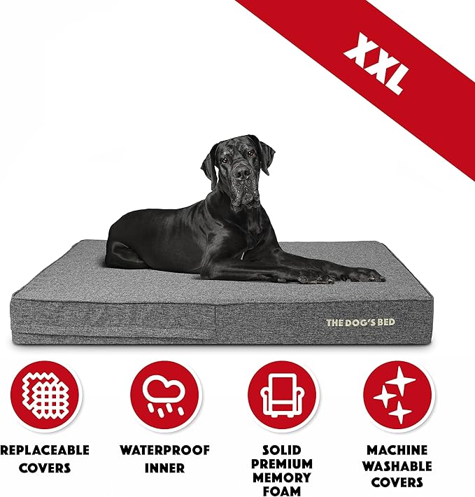 The Dog’s Bed Orthopedic Memory Foam Dog Bed 2XL Grey 54x36, Pain