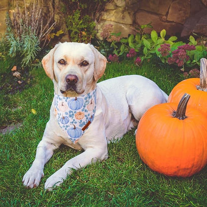 ADOGGYGO Thanksgiving Dog Bandana