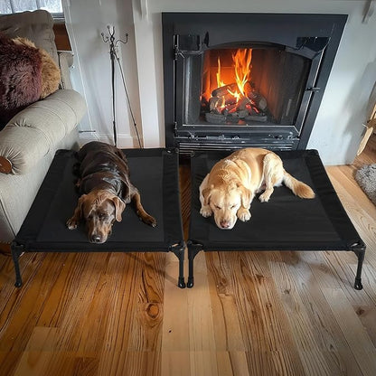 Veehoo 2 Pack Raised Dog Bed 42" x 30", Black, CWC1803-L
