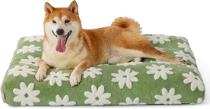 Lesure Dog Beds Large Sized Dog-Thick Shredded Chopped Foam Pet Bed Bottom(35'x22', Green)