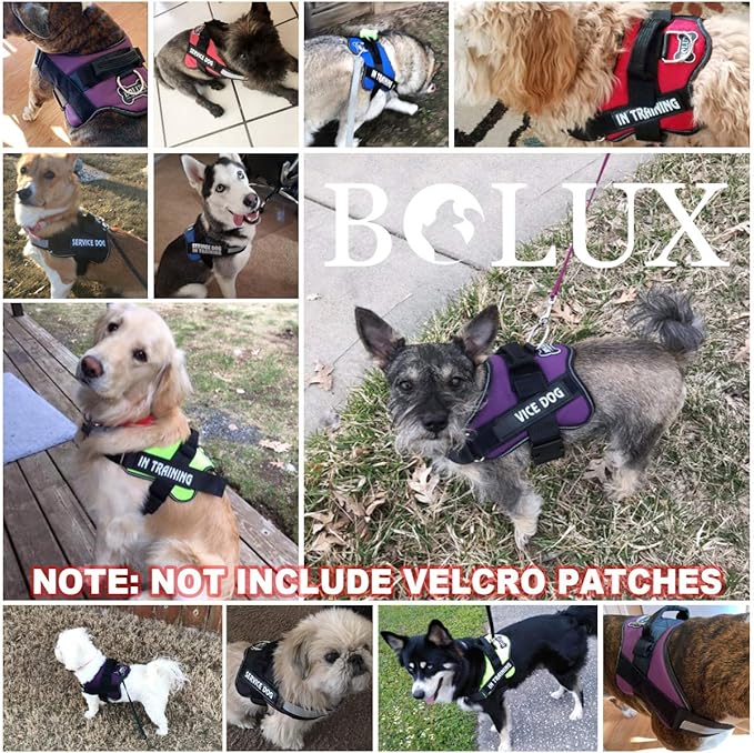 Bolux Dog Harness, No-Pull Reflective Dog Vest, Breathable Adjustable Pet Harness with Handle for Outdoor Walking - No More Pulling, Tugging or Choking (Purple, M)