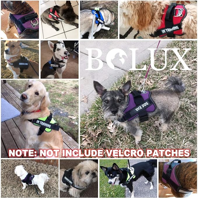 Bolux Dog Harness, No-Pull Reflective Dog Vest, Breathable Adjustable Pet Harness with Handle for Outdoor Walking - No More Pulling, Tugging or Choking (Black, XL)