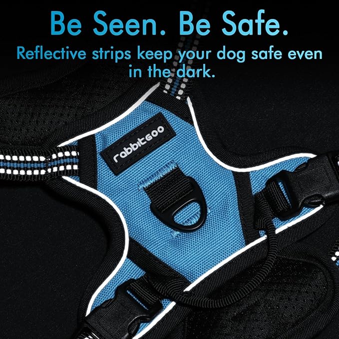 rabbitgoo Dog Harness 2 Leash