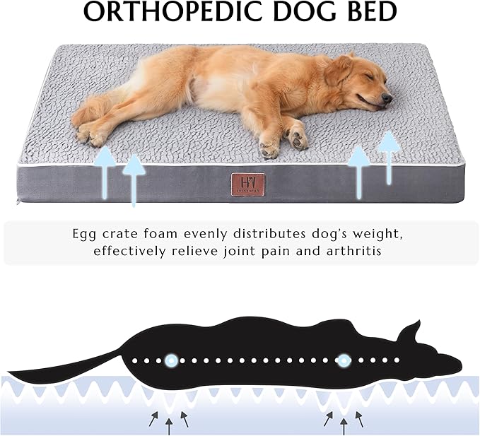 Dog Beds for Large Dogs