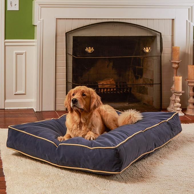 South Pine Porch Buddy Rectangle Pillow Style Dog Bed (48" x 36")