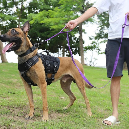 ICEFANG Tactical Dog Leash K9 Training 2 Control 6 FT)