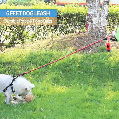 BAAPET 2/4/5/6 FT Dog Leash with Comfortable Padded Handle and Highly Reflective Threads for Small Medium and Large Dogs (6FT-1/2''