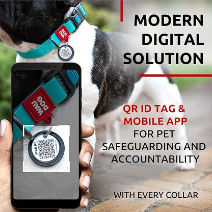 Waterproof Dog Collar (11" - 15 1/2"