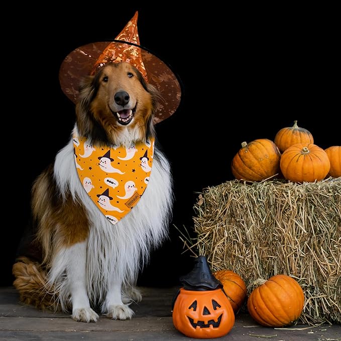 Halloween Dog Bandanas 2 Pack