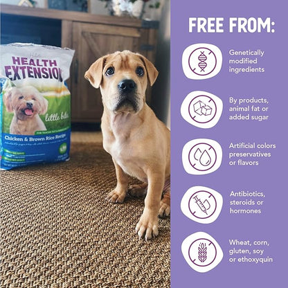 Health Extension Little Bites Chicken & Brown Rice Dry Dog Food (18 lb / 8.1 Kg) - Natural with Probiotics and Superfoods for Teacup, Toy & Small Breeds