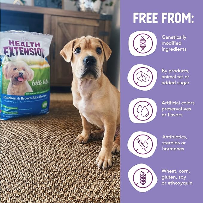 Health Extension Little Bites Chicken & Brown Rice Dry Dog Food (10 lb / 4.5 Kg) - Natural with Probiotics and Superfoods for Teacup, Toy & Small Breeds