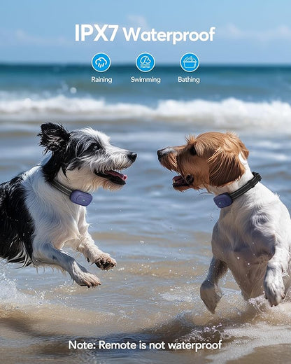 Dog Shock Collar 2 Dogs 1/2 Mile, IPX7 Waterproof 4 Training