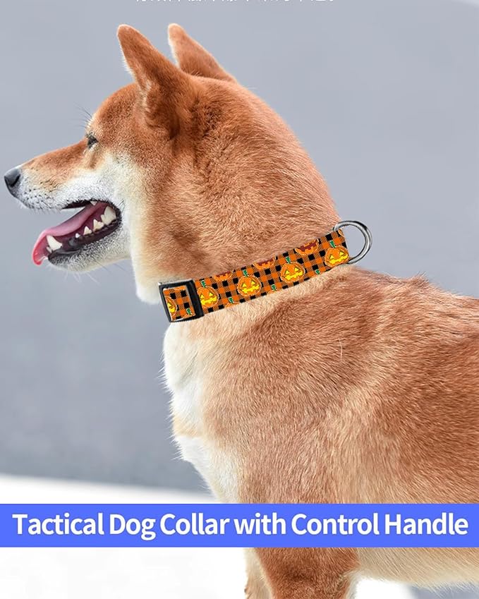 Dog Collar