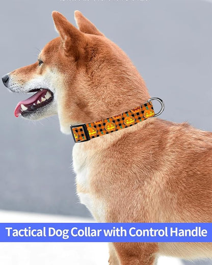 Dog Collar